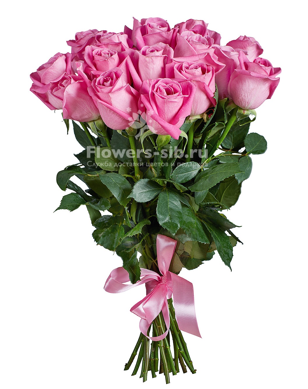 BOUQUET OF 17 ROSES